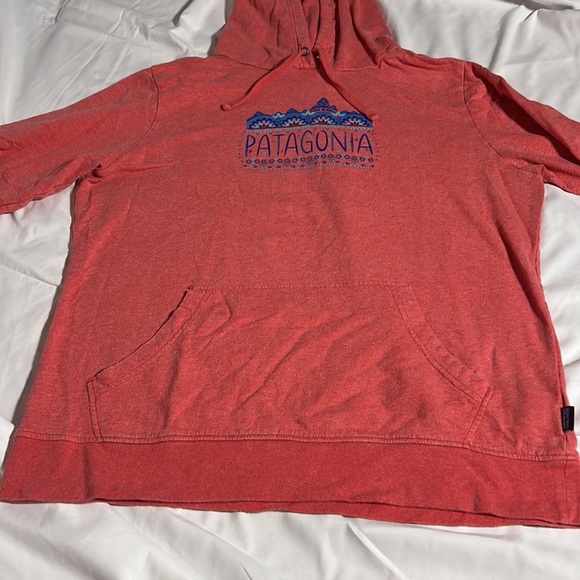 Patagonia Distressed Hoodie, Worn Wear, Women's size L - Picture 13 of 16